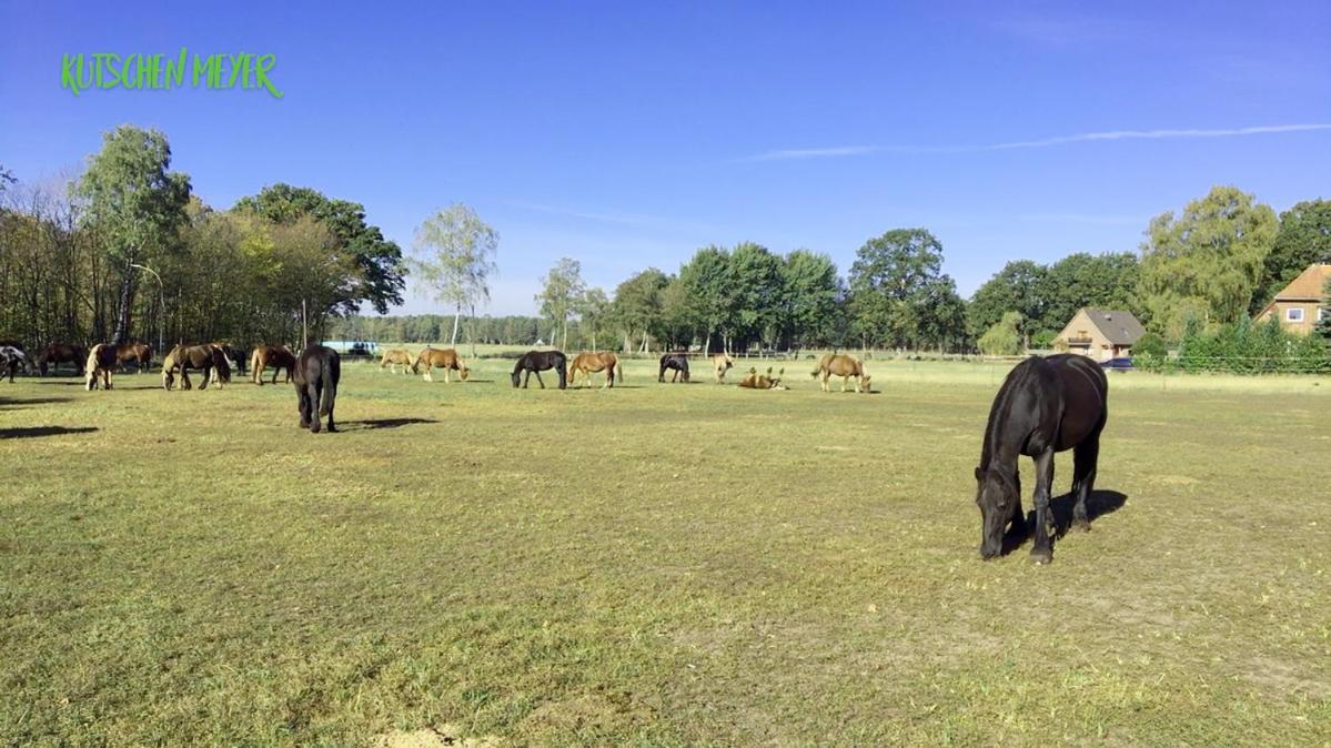 Ferienhaus Kutschenmeyer Schneverdingen Bagian luar foto